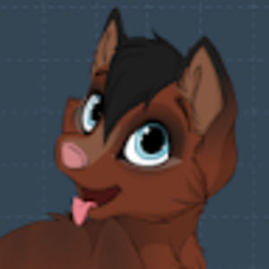 Meet your Posher, Shawn